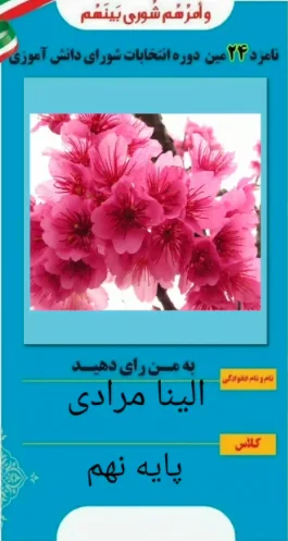 الینا مرادی الینا مرادی