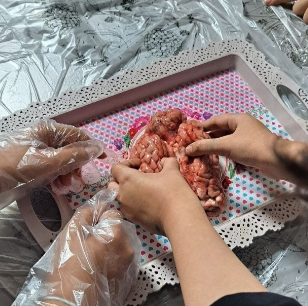 کارگاه زیست و شیمی