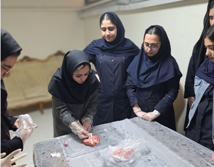 کارگاه زیست و شیمی